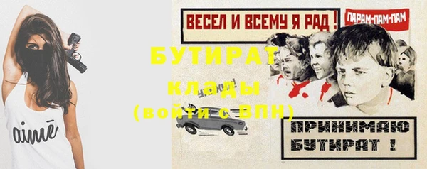 дмт Гусев
