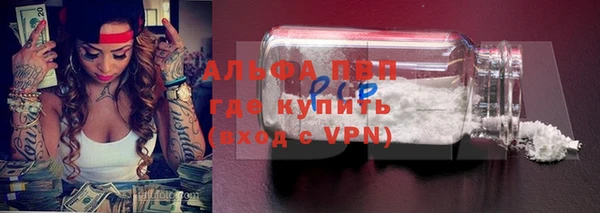 дмт Гусев