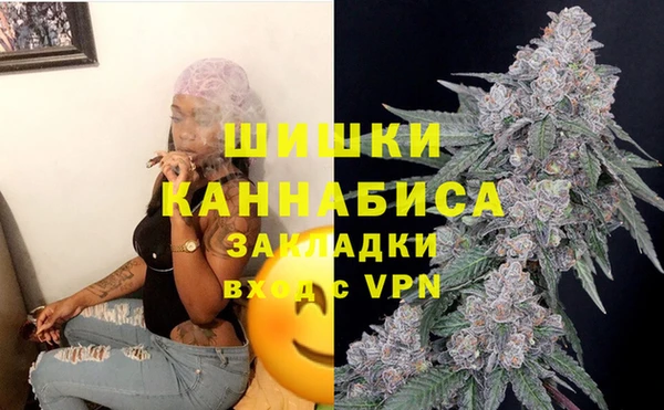 ГАЛЛЮЦИНОГЕННЫЕ ГРИБЫ Гусиноозёрск