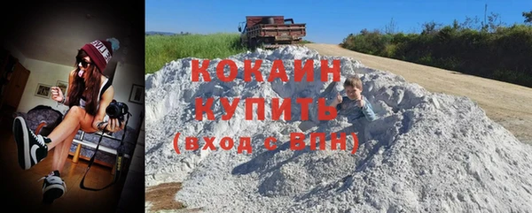 ГАЛЛЮЦИНОГЕННЫЕ ГРИБЫ Гусиноозёрск
