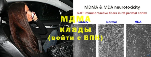 дмт Гусев