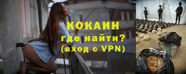 дмт Гусев