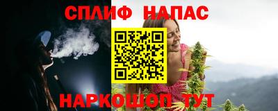 дживик Бийск