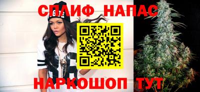 дживик Бийск